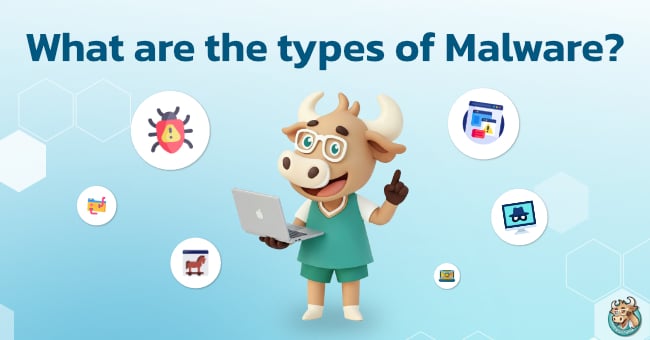 what-are-the-types-of-malware