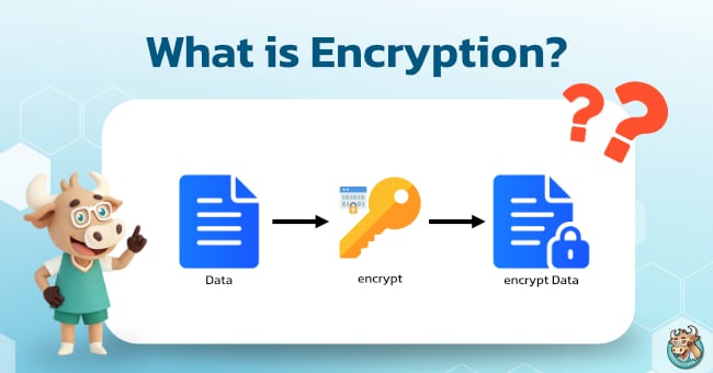 what-is-encryption