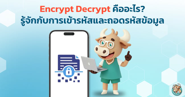 what-is-encrypt-decrypt
