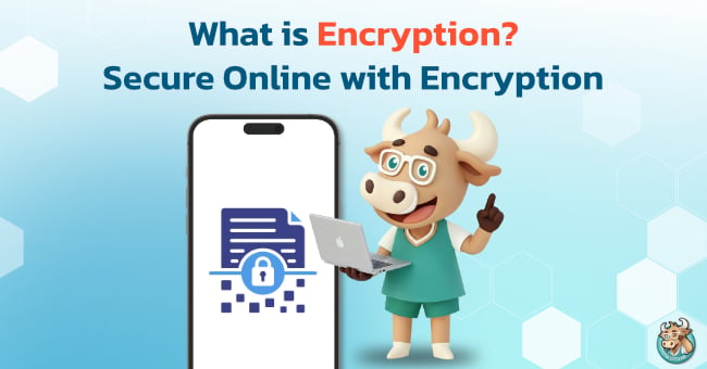 what-is-encrypt-decrypt