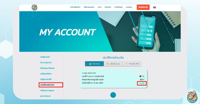 check-payment-status-bullvpn