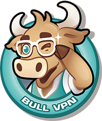 Bull VPN