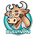 BullVPN logo