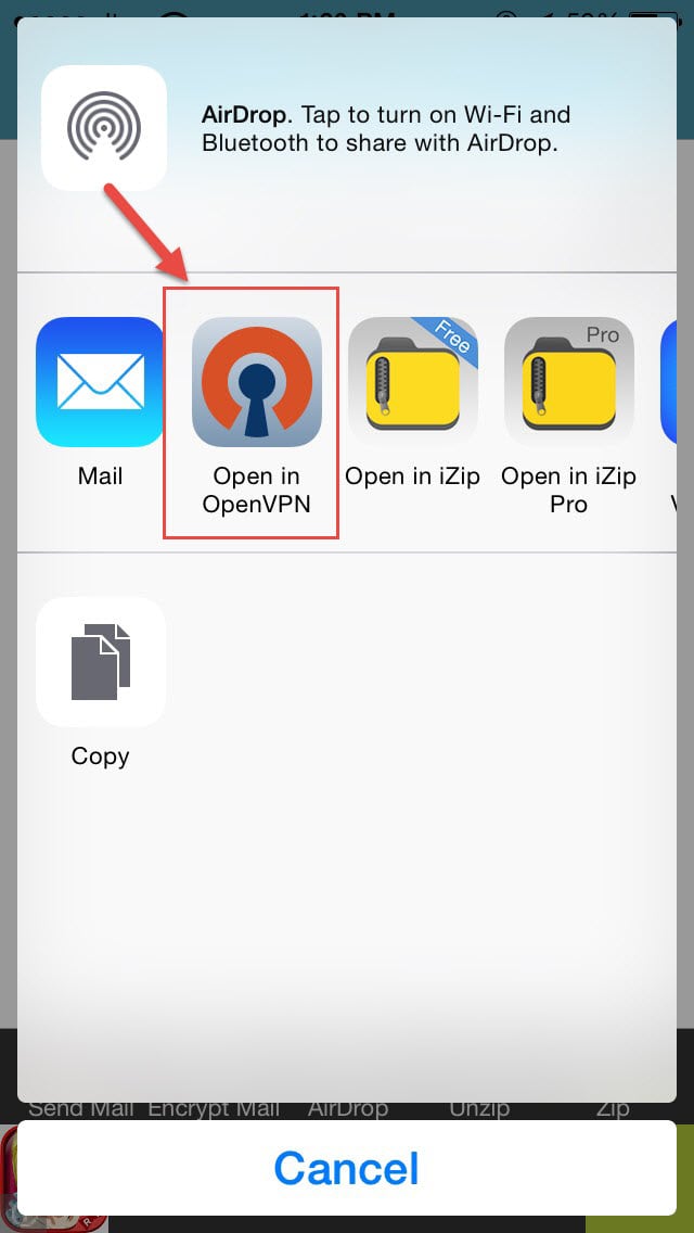 Installation Openvpn ios step 8