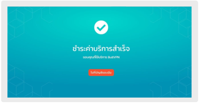 payment-success-bullvpn