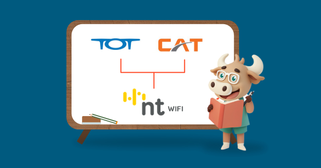 nt-internet-slow-fix-it-yourself