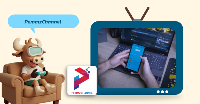 pemmzchannel-review-bullvpn