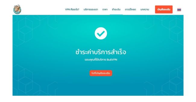 payment-tcsa-bullvpn