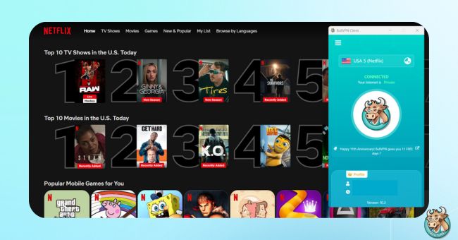 netflix-usa