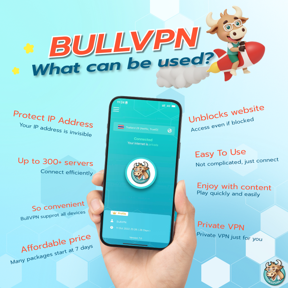 what-is-bullvpn