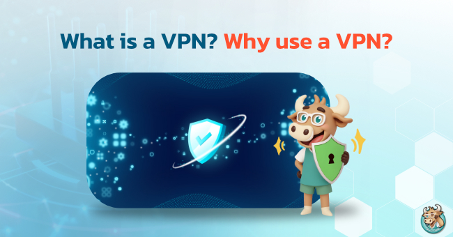 what-is-a-vpn-why-usa-avpn
