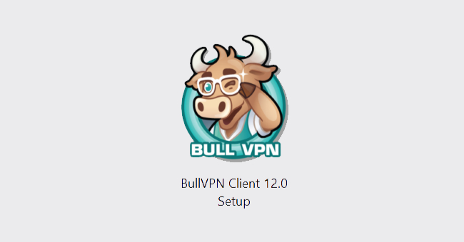 setup-windows-bullvpn