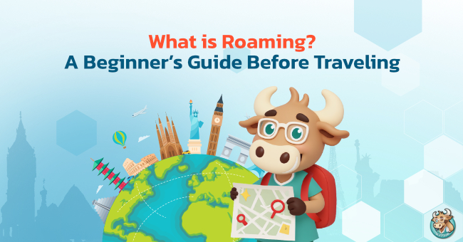what-is-roaming