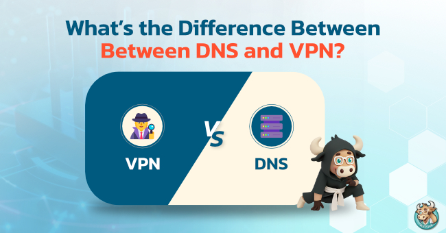 What-is-the-Difference-Between-DNS-and-VPN