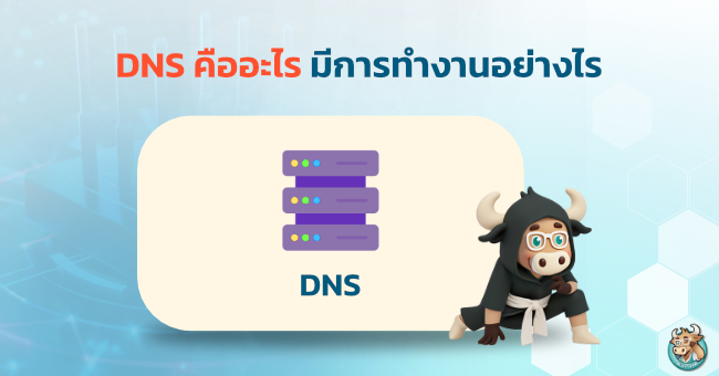 what-is-dns