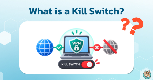 what-is-a-kill-switch