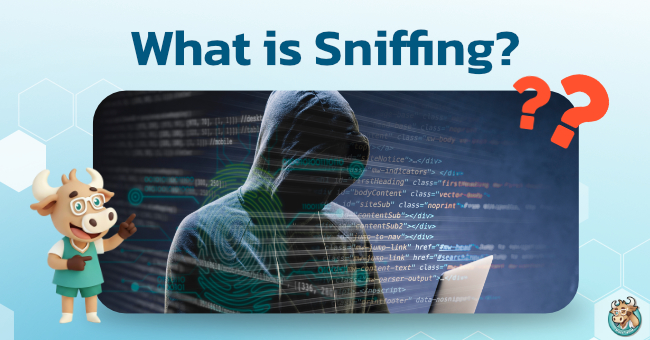 what-is-sniffing