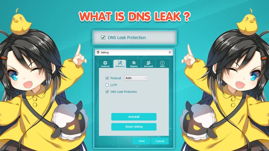 dns-leak-privacy-vpn-bullvpn