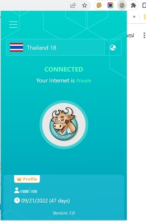 bullvpn-vpn-chrome-extension