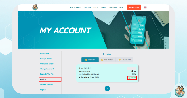 check-payment-status-bullvpn