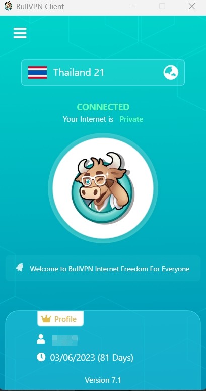 setup-windows-bullvpn