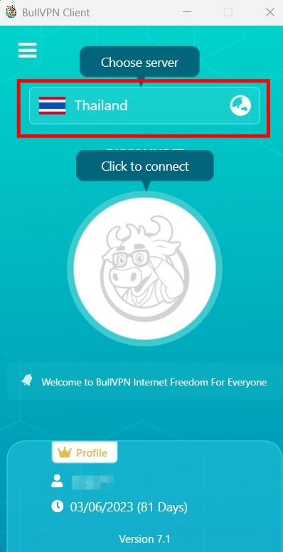 setup-windows-bullvpn
