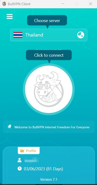 setup-windows-bullvpn